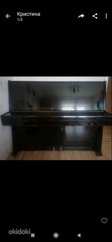 Müügiks pianino hea seisu korras (foto #2)