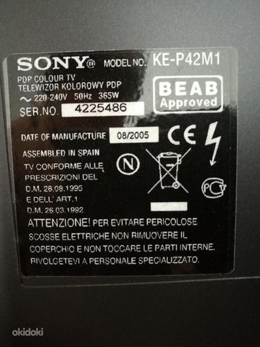 Sony WEGA KE-P42M1 (42") (фото #2)