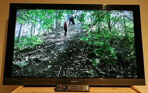 Televiisor Sony Full HD LCD KDL-40EX402 40" (3 foto / 9)