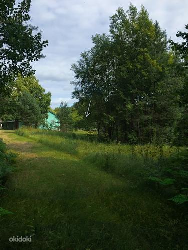 Участок земли в Куремяе. Разрешение на строительство. (фото #3)