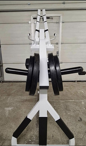 Тренажер для спины Cybex (5 фото из 7)