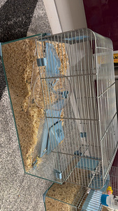 Hamster puur/клетка для хомяка (1 фото из 1)
