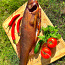 Рыба горячего копчения, филе судака, щуки (фото #5)