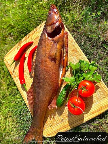 Рыба горячего копчения, филе судака, щуки (фото #5)