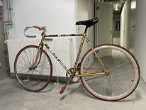 Велосипед с фиксированной передачей Carlton (fixie)