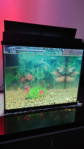 Juwel akvaarium 65L (3 foto / 4)