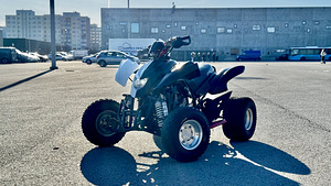 Tänavalegaalne Quad DINLI DL901-450, 450cc ja 35kW (1 foto / 9)