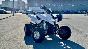 Tänavalegaalne Quad DINLI DL901-450, 450cc ja 35kW (2 foto / 9)