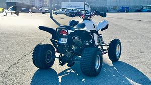 Tänavalegaalne Quad DINLI DL901-450, 450cc ja 35kW (4 foto / 9)