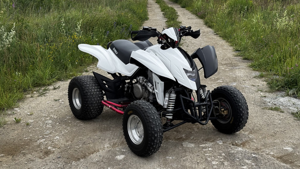 ATV/QUAD Dinli DL901-450 - 450 куб. см и 35 кВт
