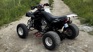 ATV/QUAD Dinli DL901-450 - 450 куб. см и 35 кВт (4 фото из 10)