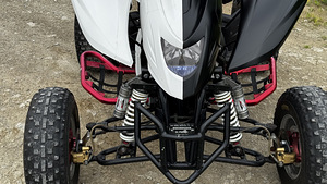 ATV/QUAD Dinli DL901-450 - 450 куб. см и 35 кВт (6 фото из 10)