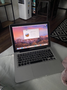 MacBook Pro (13 дюймов, середина 2010 г.)