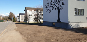 Pakume sillutusteenust (4 foto / 8)