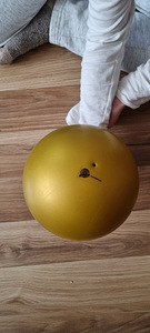 Гимнастический мяч pastorelli