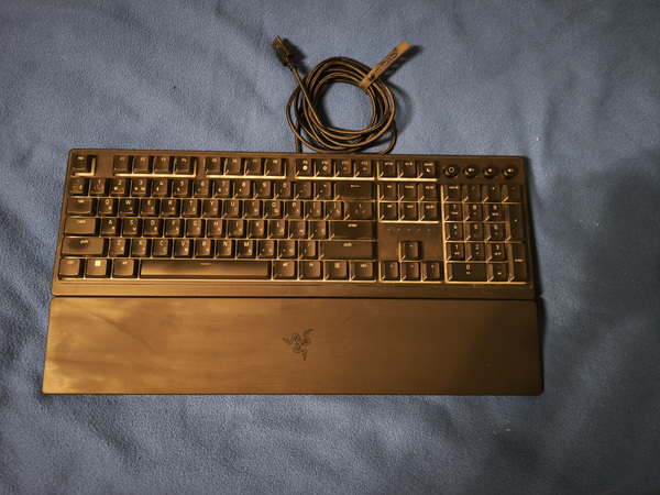 Razer ornata v3