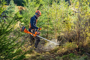 Koksnes dzidrināšanas darbi Somijā