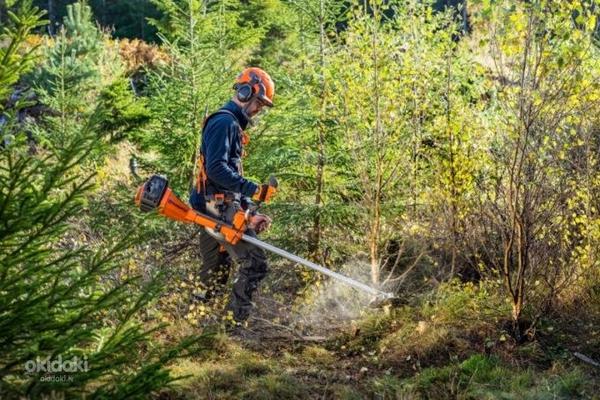 Koksnes dzidrināšanas darbi Somijā (foto #1)