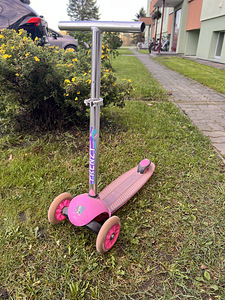 Kolmerattaline tõukeratas lastele (2 foto / 3)