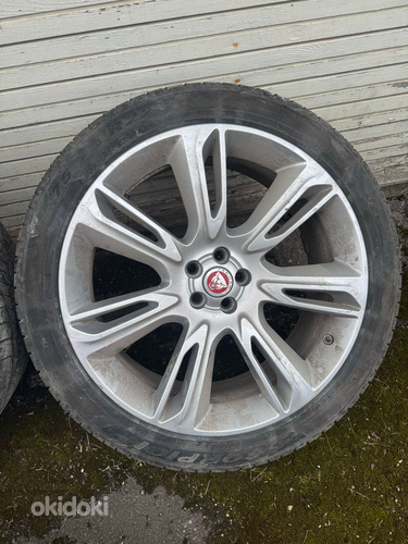 Veljed