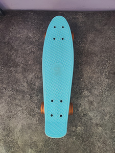 Penny board/ Пенниборд