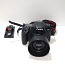Canon EOS 77D + Canon EF 50mm 1.8 STM (foto #1)