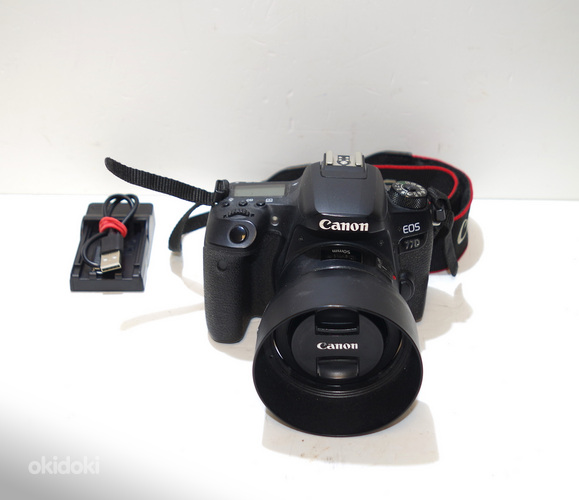 Canon EOS 77D + Canon EF 50mm 1.8 STM (фото #1)