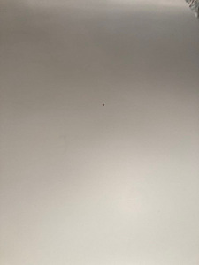 Kirjutuslaud, söögilaud - multifunktsionaalne laud (6 foto / 8)