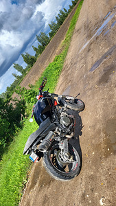 Ducati Monster 600 1999 (7 фото из 8)