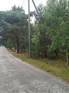 Kakumäe tee 82, Haabersti, Tallinn, Harjumaa (5 фото из 8)