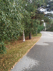 Kakumäe tee 82, Haabersti, Tallinn, Harjumaa (8 фото из 8)