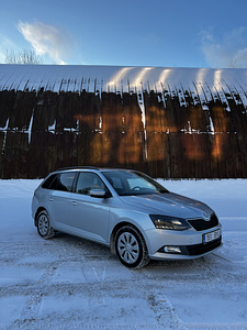 Skoda Fabia 2018 reg. tasu makstud! (13 foto / 13)