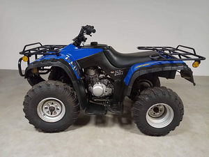 Квадроцикл 250cc (7 фото из 8)