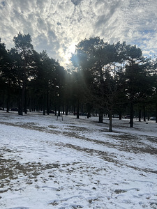 Kolde pst 100, Põhja-Tallinna, Tallinn, Harjumaa (23 foto / 23)