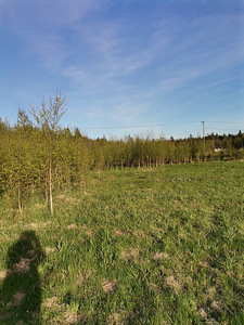 Räägu tee 22, Vikipalu, Anija vald, Harjumaa (5 foto / 10)