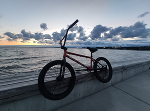 BMX WTP ARCADE 21' 2020 (1 фото из 1)
