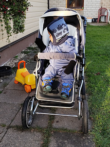 Klassikaline vanker Roan (10 foto / 10)