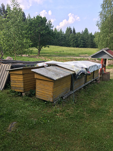 Mesitarud (3 foto / 5)