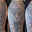 Tattoo, Cover Up, TALLINN (foto #3)