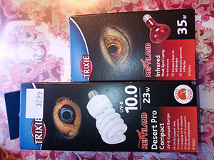 Roomajate lambid (2 foto / 7)