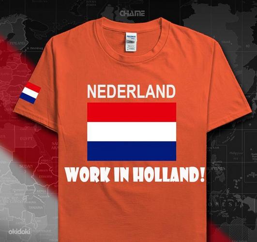 Работы в Нидерландах (теплицы) (фото #1)