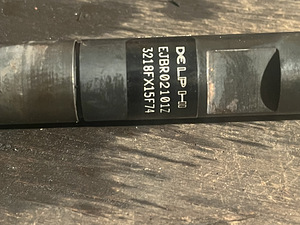 Pihustid DELFI (5 foto / 5)
