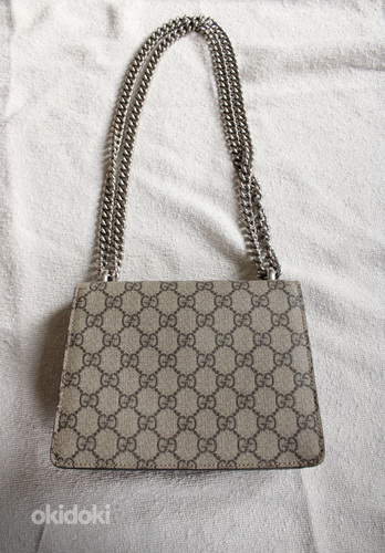 Gucci kott (foto #2)