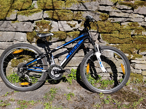 Trek MT 220 jalgratas (1 foto / 3)