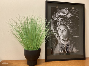 Must-valge foto / pilt (2 foto / 2)