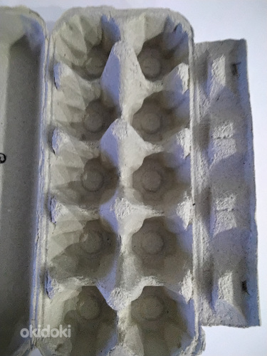 Пустые коробки для яиц(бесплатно) (фото #2)