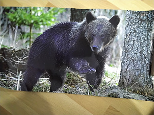 Eesti kohtade fotod (2 foto / 8)