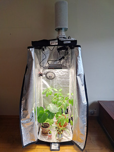 Kasvatuskast (Grow Box) (1 foto / 10)