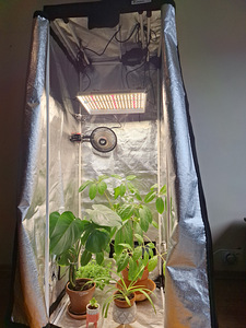 Kasvatuskast (Grow Box) (9 foto / 10)