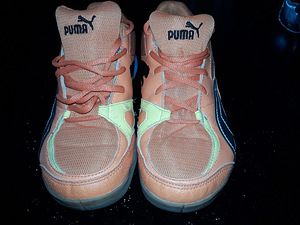 Tossud Puma (4 foto / 4)